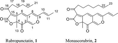 Diversifying of Chemical Structure of Native Monascus Pigments